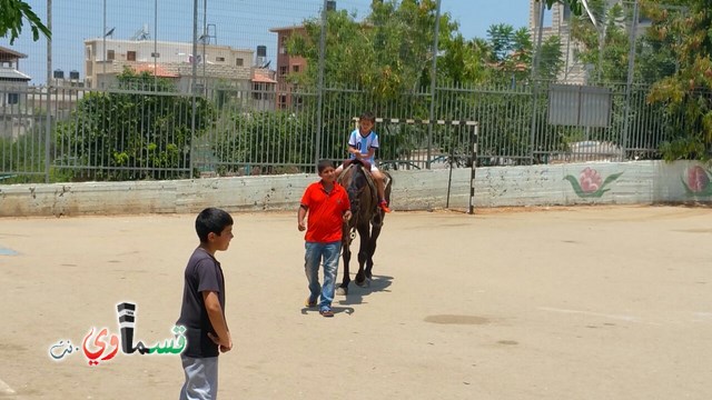 كفرقاسم - فيديو  : تعليم هواية ركوب الخيل في مدرسة جنة ابن رشد في اليوم الرابع لصيف الصادقة 